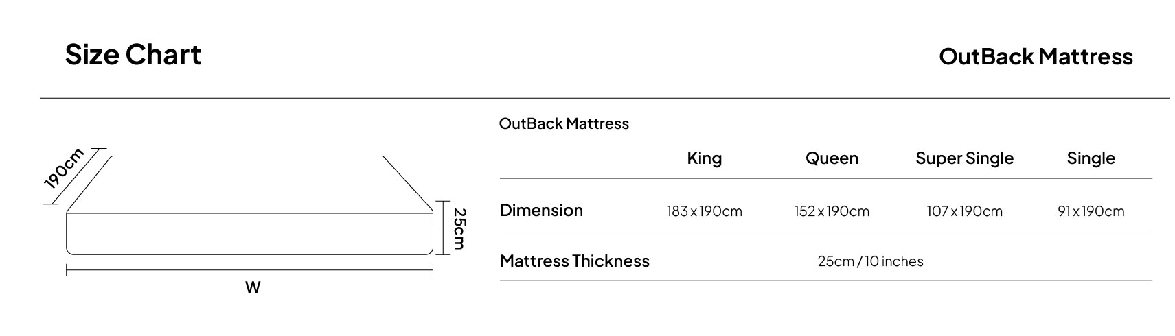 backpedic description banner-12